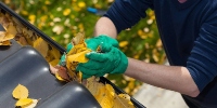 Autumn Maintenance for Homeowners and Landlords