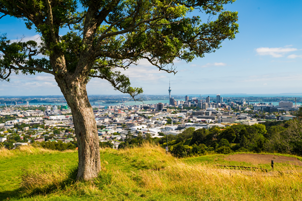 OPINION: Housing off political radar | Barfoot & Thompson June News