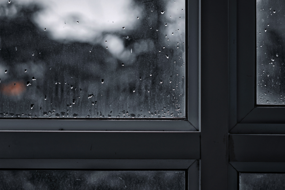 6 energy-smart tips for renters