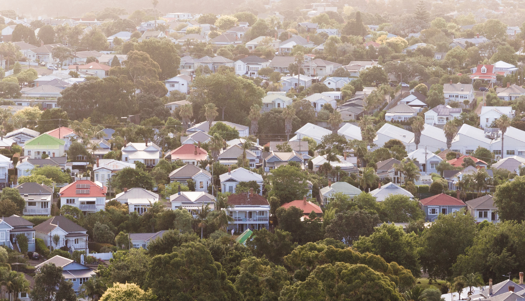 OPINION: Auckland house buyers look beyond economic uncertainty