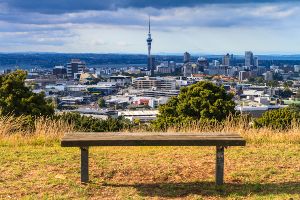 August 2022 Suburb Report: Auckland House Prices & Yield
