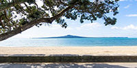 Auckland's top 20 hot spots