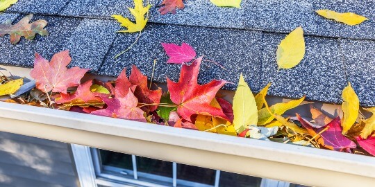 Leaves can clog your gutter before winter