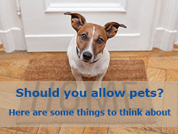 Should you allow pets? Here are some things to think about