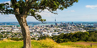 June 2022 Suburb Report: Auckland House Prices & Yield