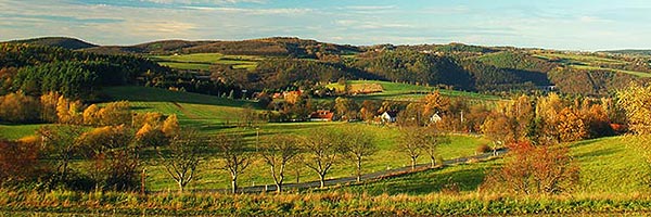 Rural landscape with autumn leaves