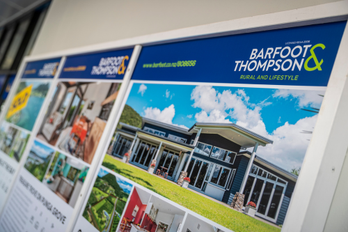 Auckland suburb report February 2025