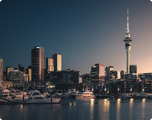 Auckland Property Market Commentary - October 25