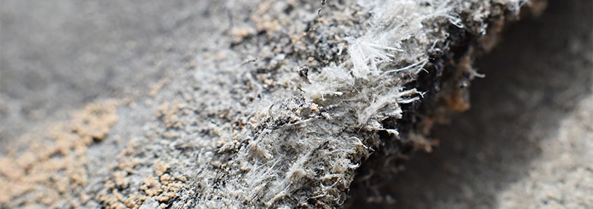 Asbestos fact sheet