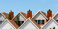 July 2021 Auckland Residential Property Sales Report
