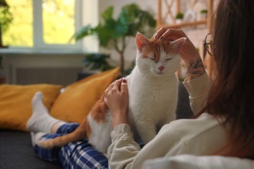 Rental laws continue to evolve: here’s what matters right now.